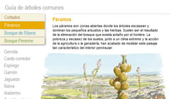 Guía online de Árboles del Montejo de la Vega